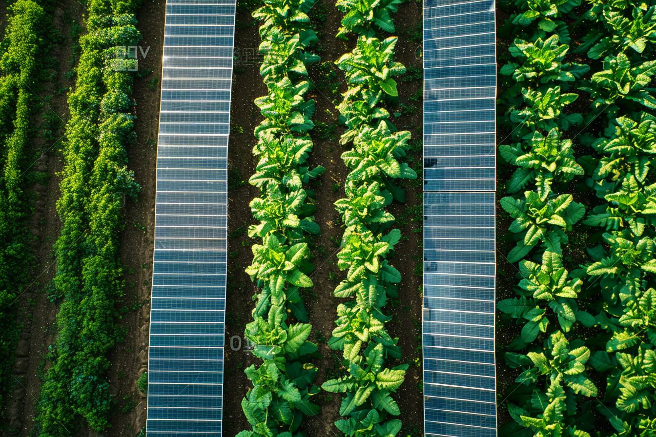 Comprendre Autocalsol et ses bénéfices pour l&rsquo;agriculture